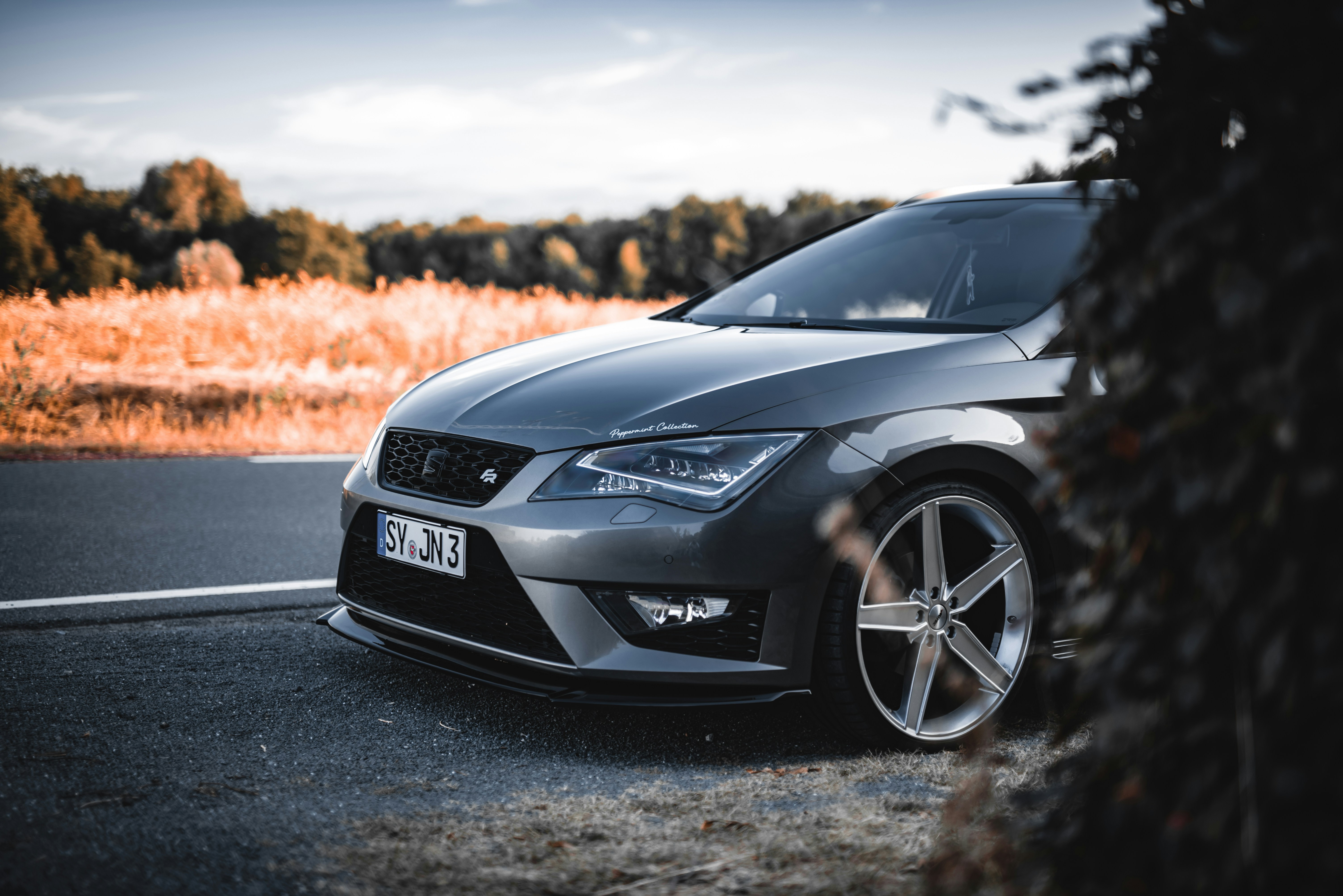 Photo by nauhauserphotography