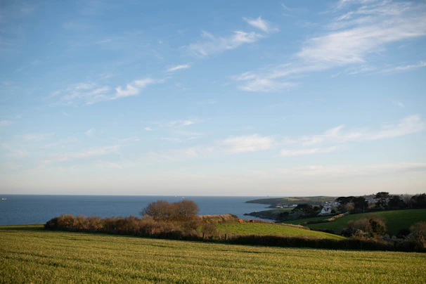 a grassy field with a body of water in the distance