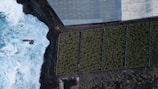 Aerial view showing the intersection of the ocean, a concrete structure, and a farming area with distinct plots of green crops. The ocean waves crash against a rocky shoreline adjacent to the cultivated land. The agricultural area is divided into rectangular sections, with a structure, possibly a greenhouse, partially visible at the top right.