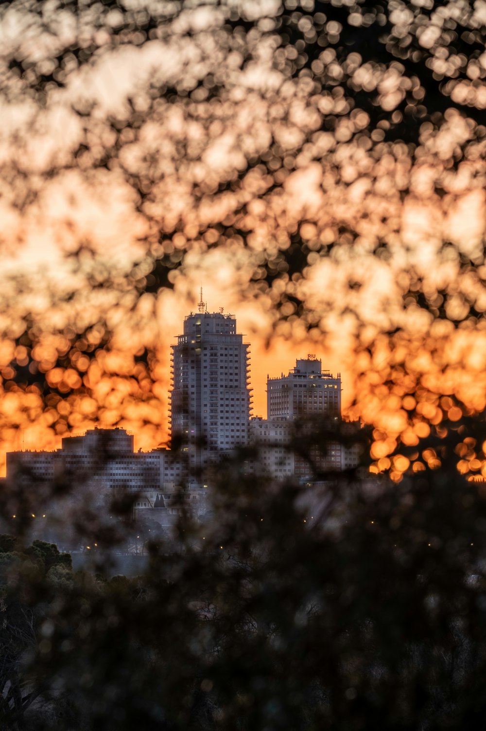 a view of a city from a distance