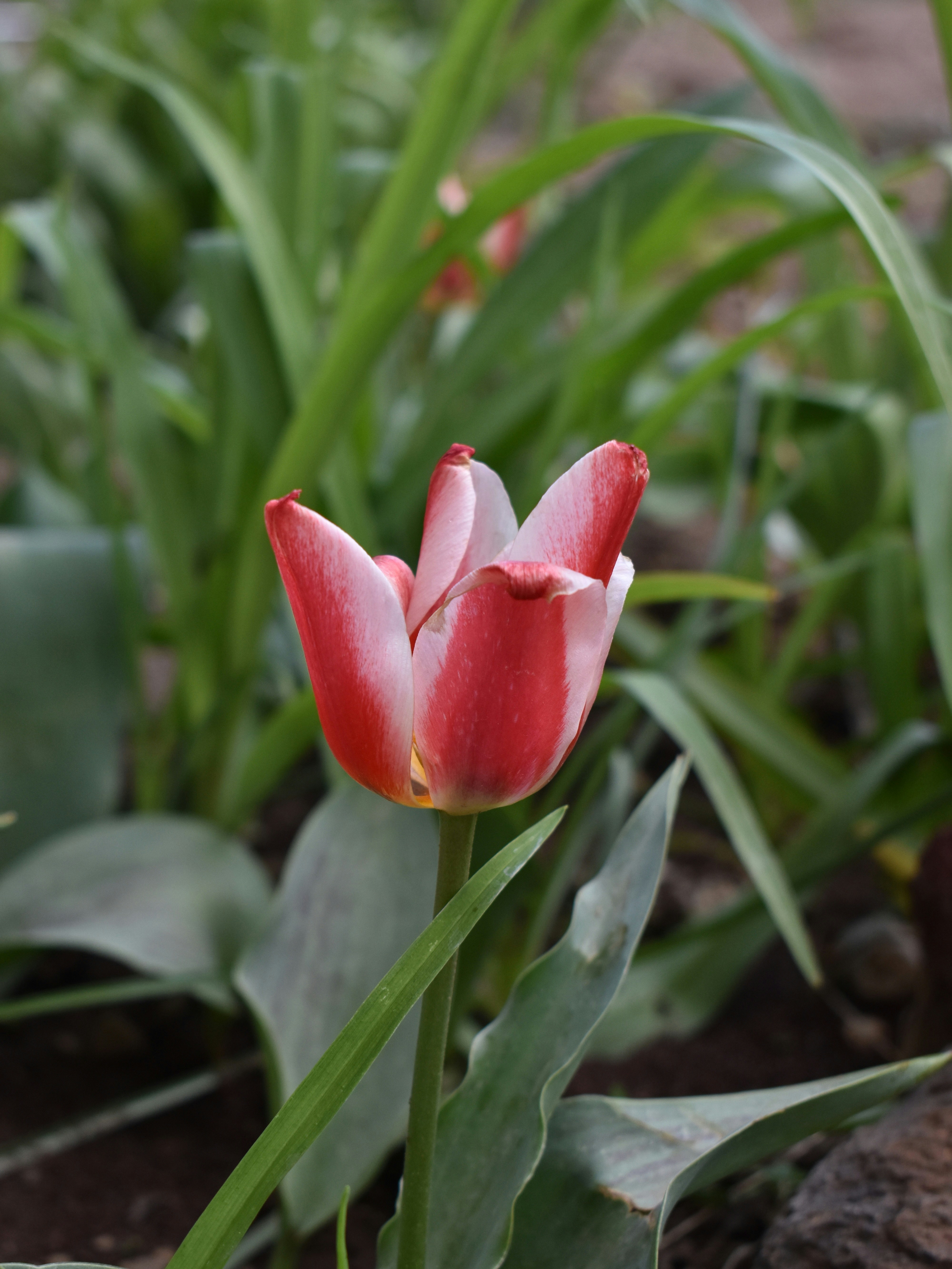 Photo by mustafakonuk