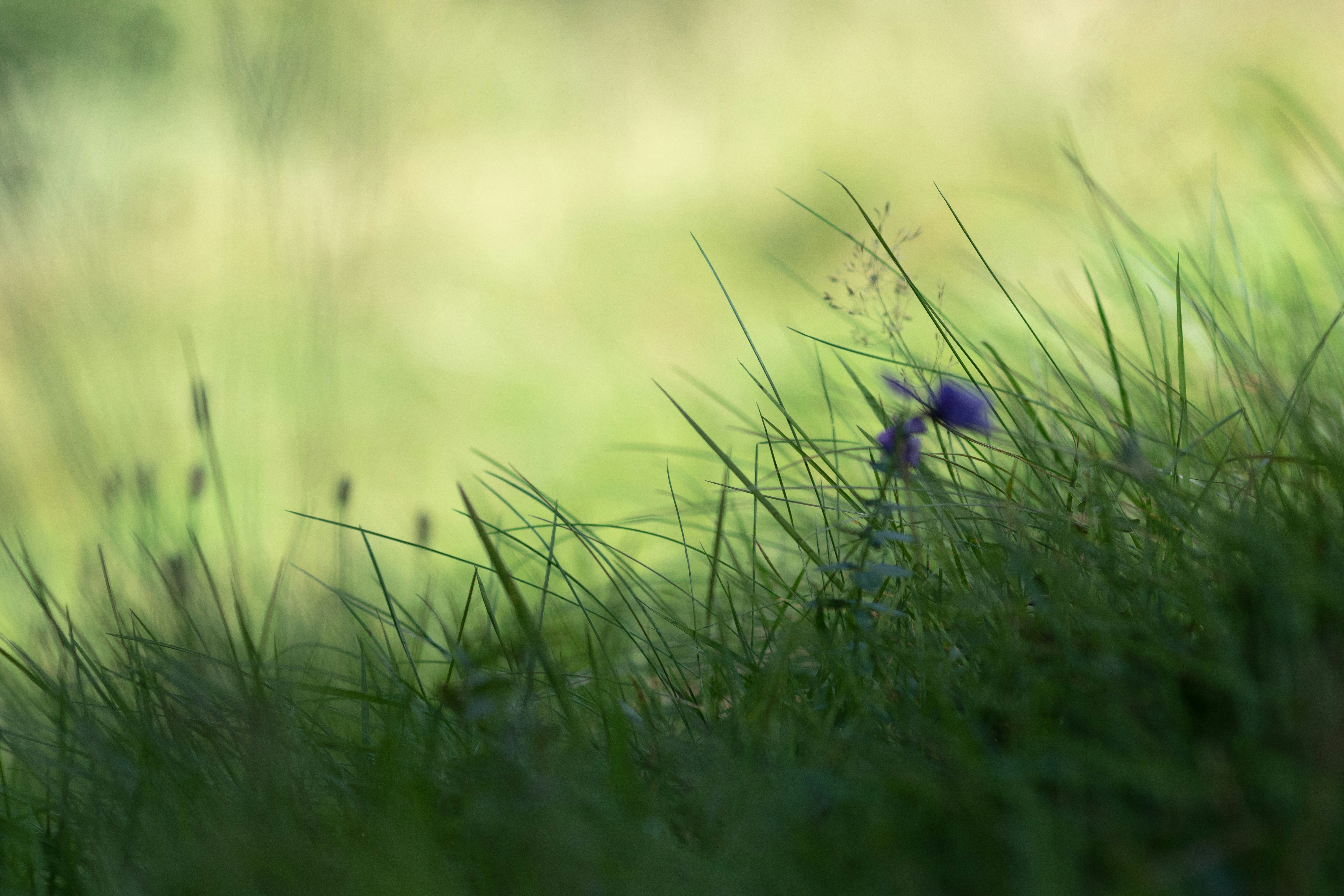 Photo by sevencolors