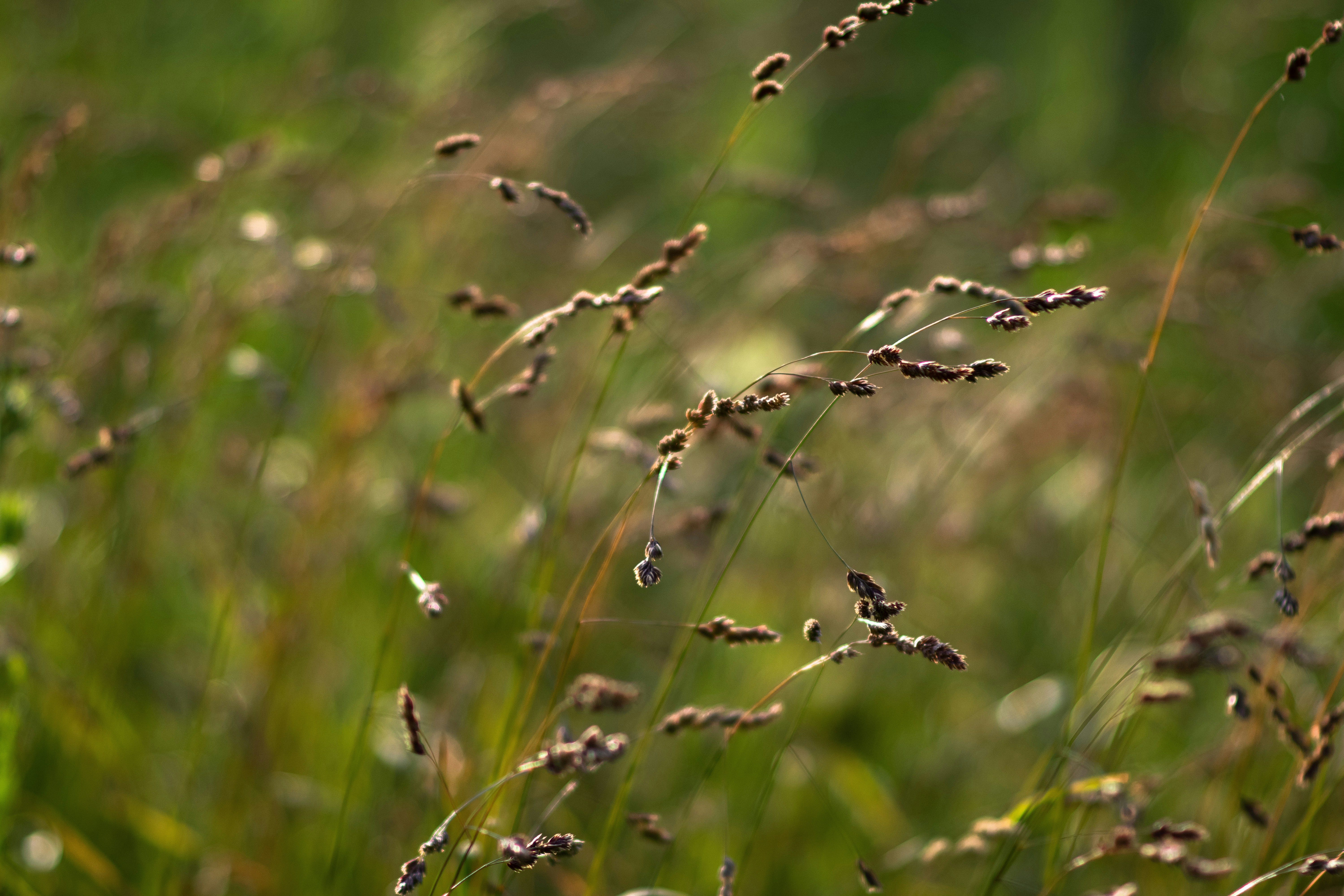 Photo by sevencolors