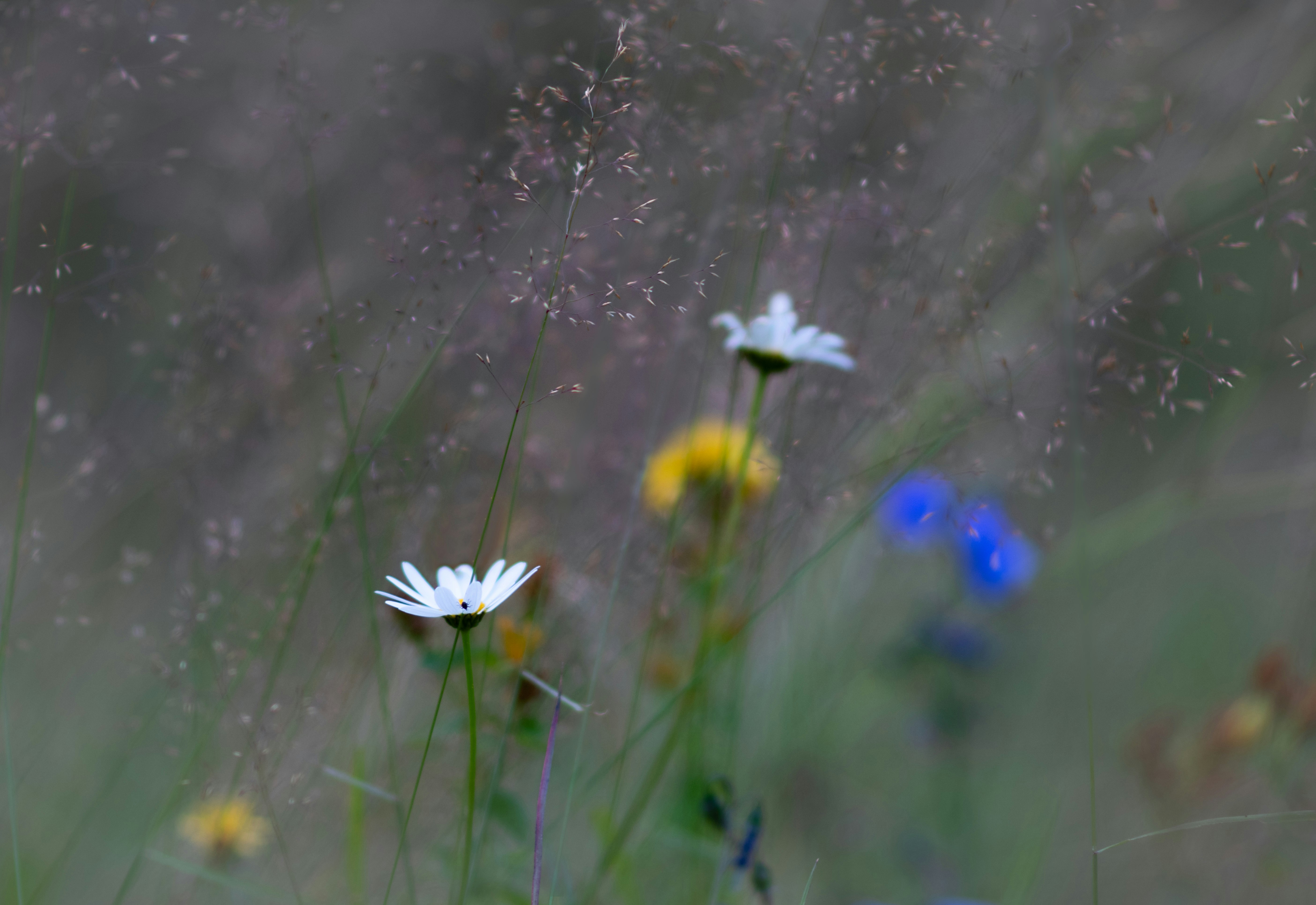Photo by sevencolors