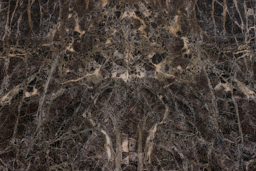 a marble wall with a tree pattern on it