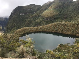 A serene mountain lake is nestled among green hills, surrounded by lush vegetation and a variety of plants. The water reflects the cloudy sky above, creating a tranquil atmosphere. The landscape is dominated by dense forest and rugged, mist-covered slopes.