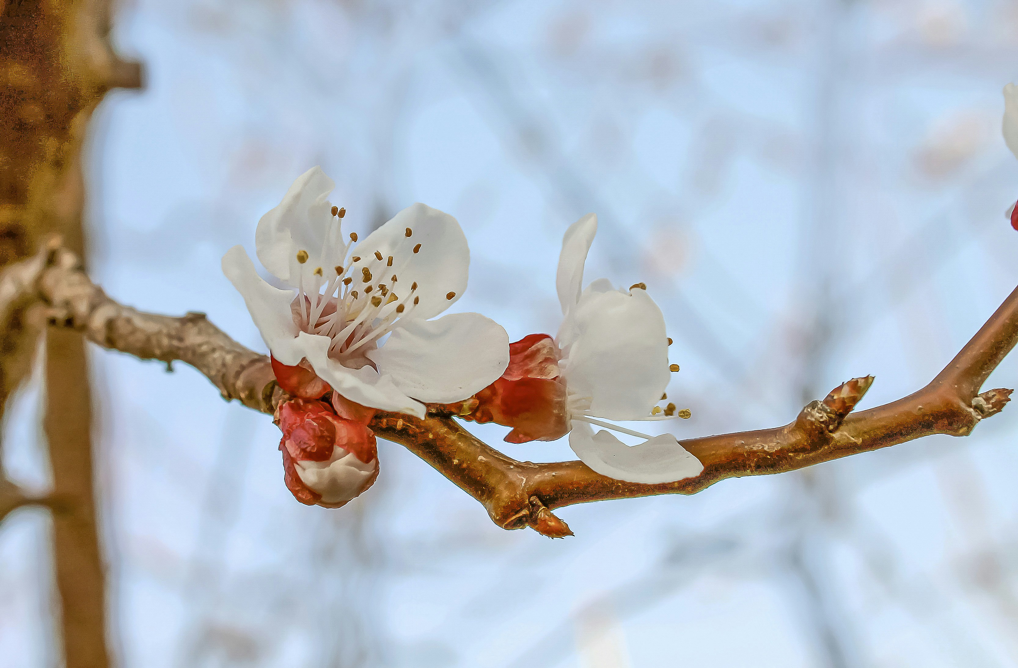 Photo by olgamusiichuck
