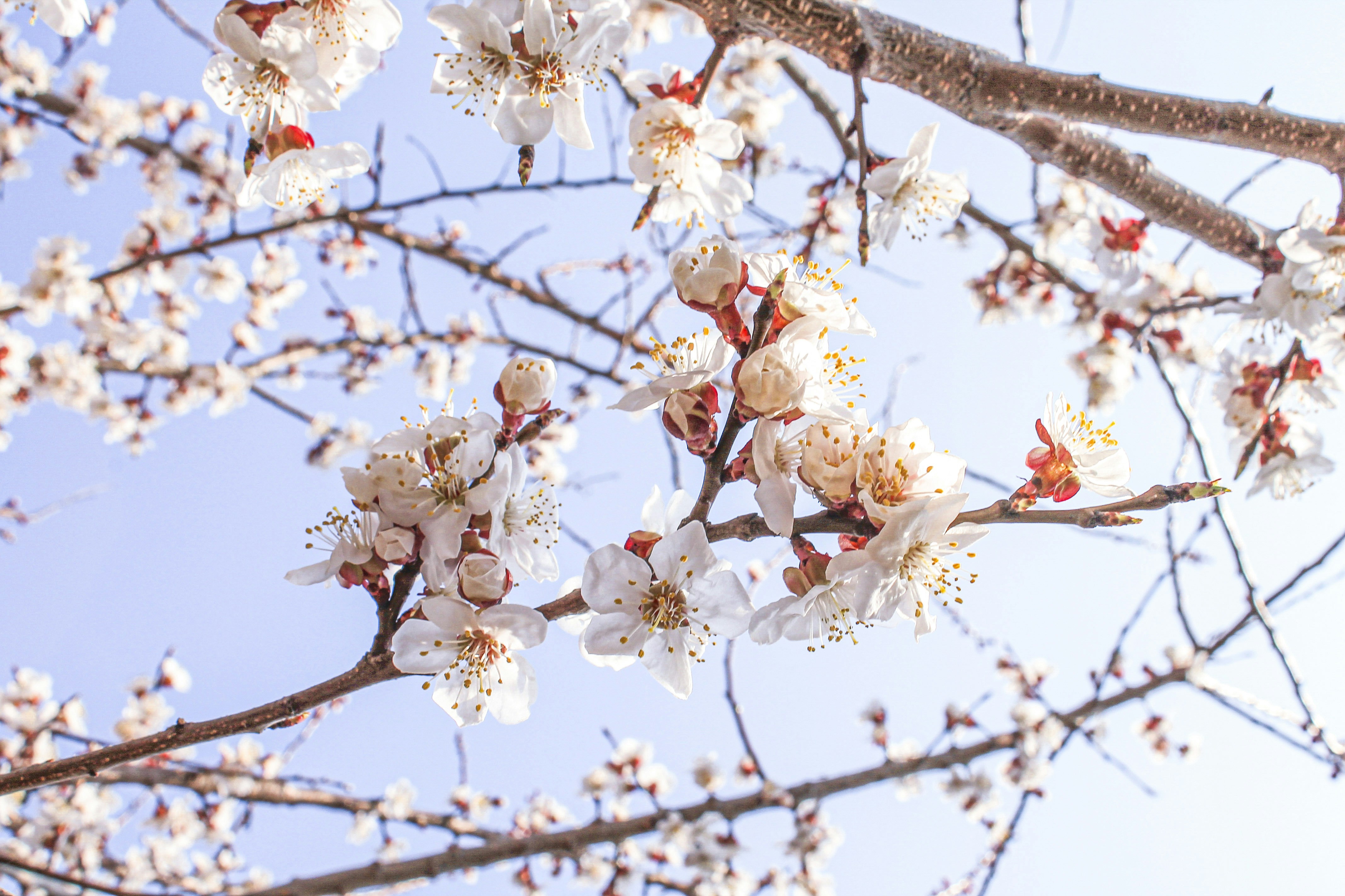 Photo by olgamusiichuck