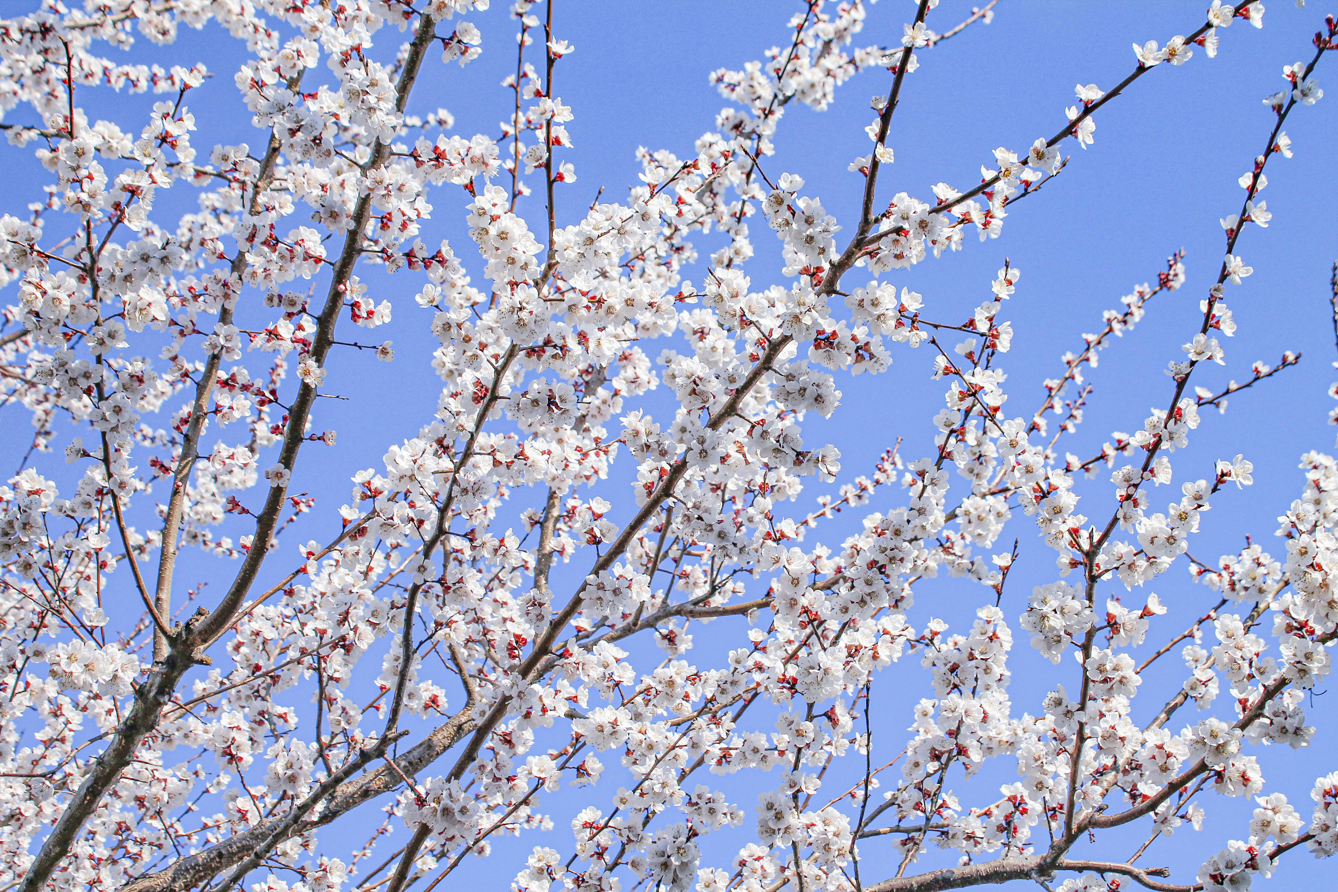 Photo by olgamusiichuck