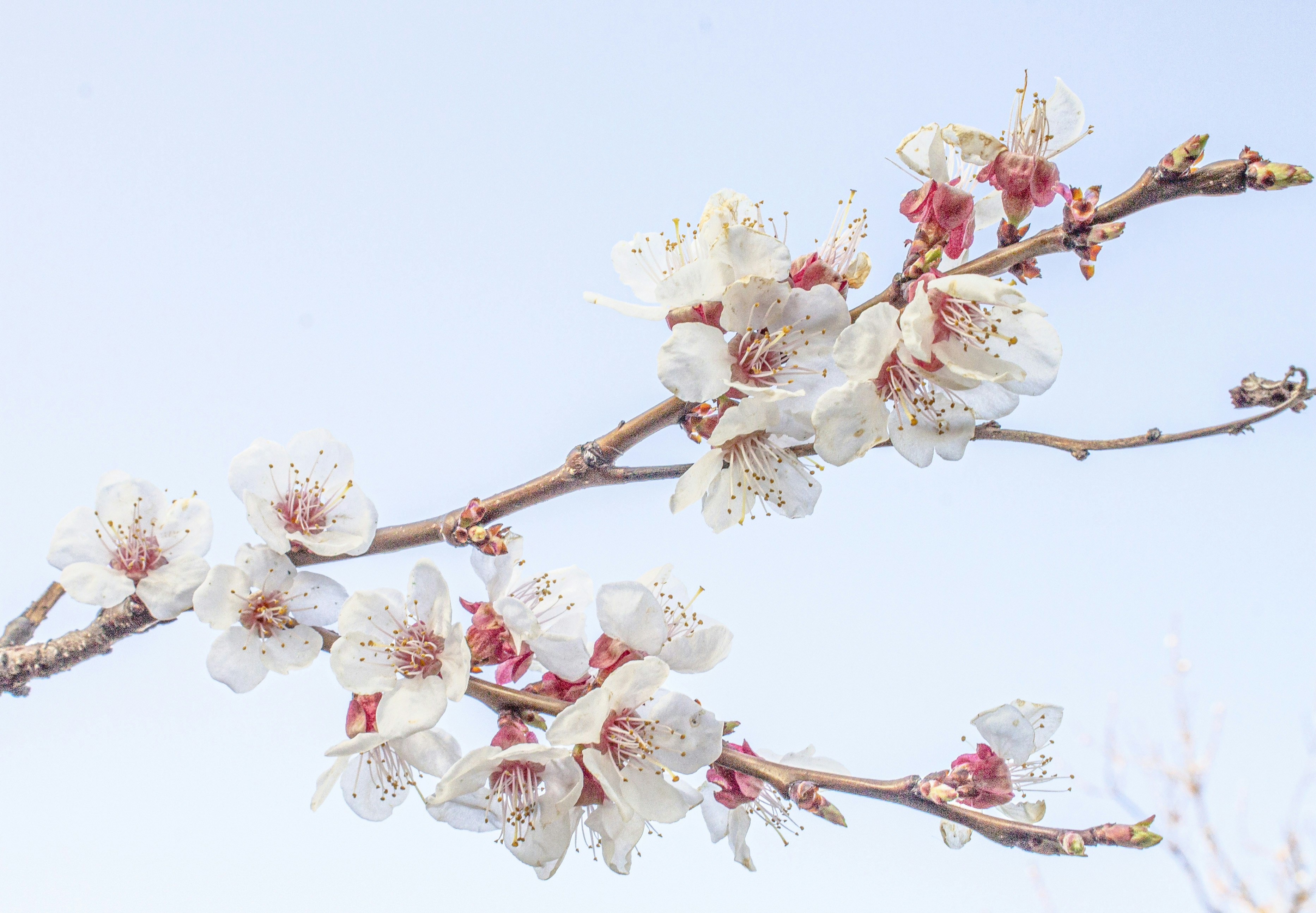 Photo by olgamusiichuck