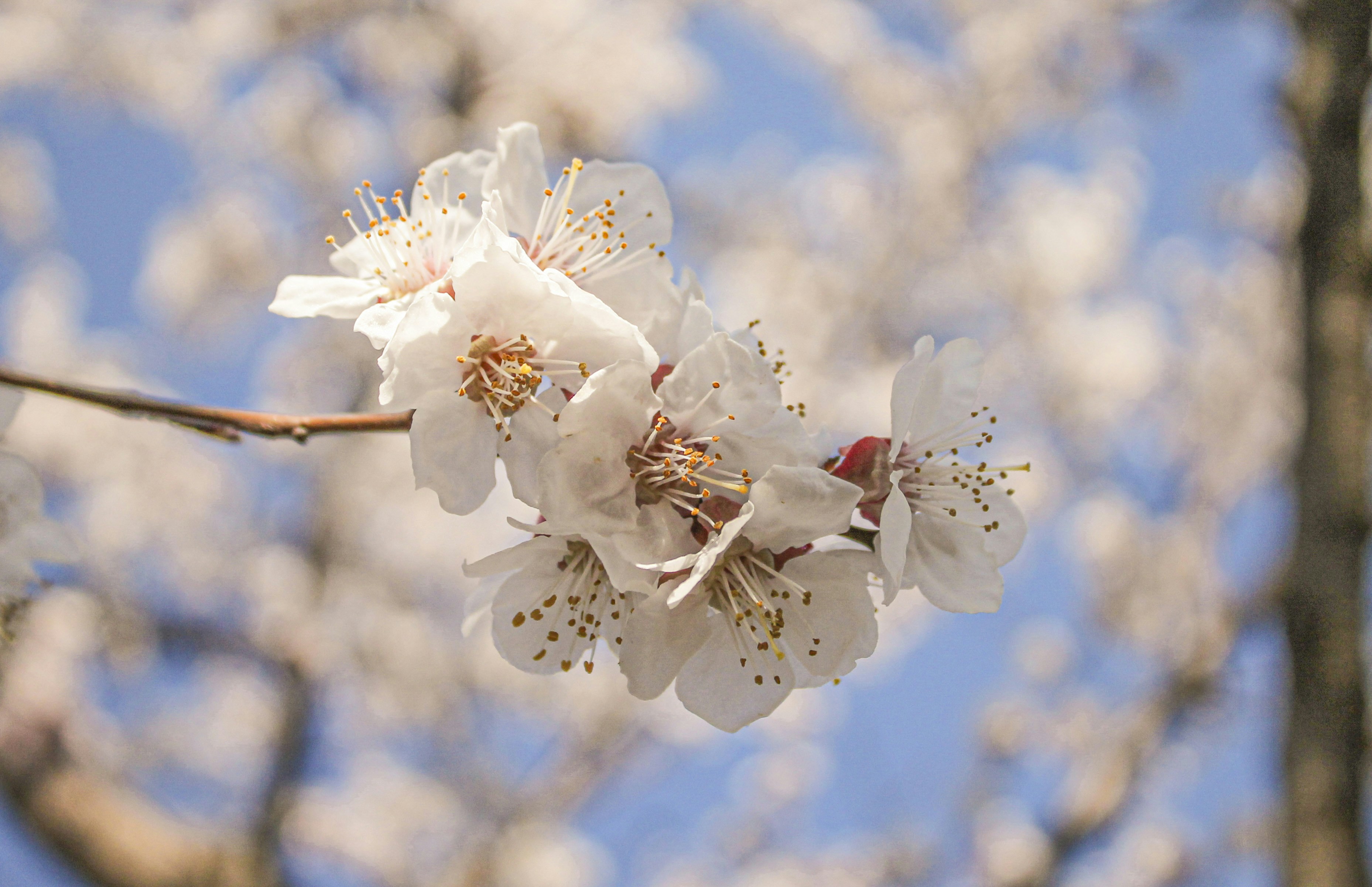 Photo by olgamusiichuck