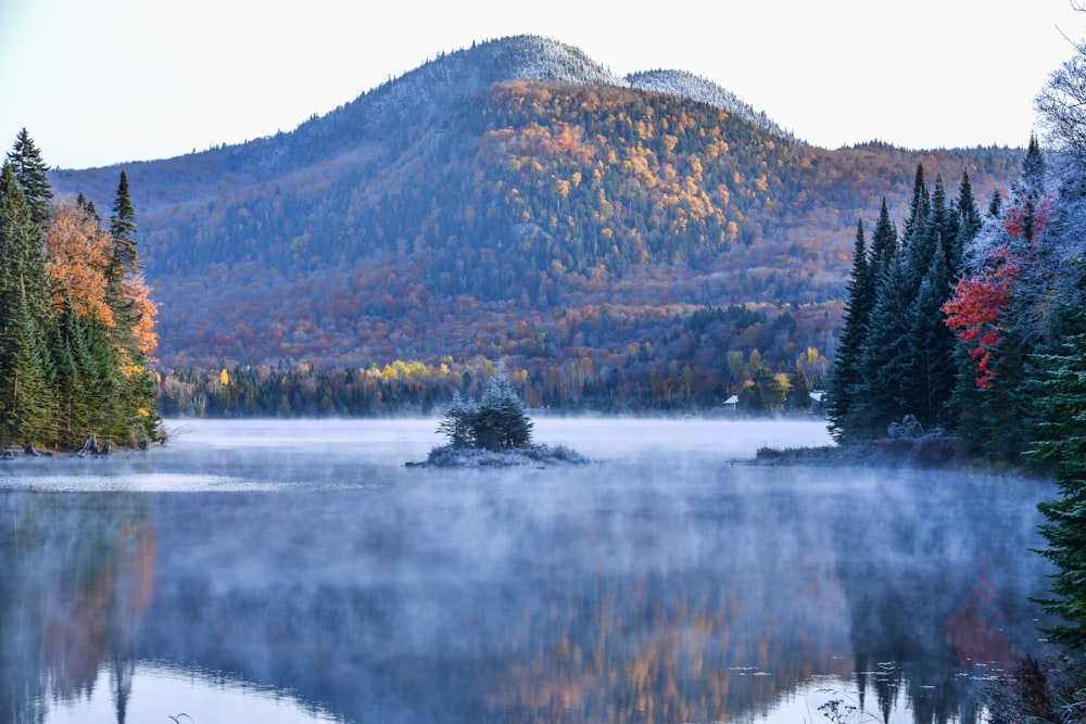 Un lago circondato da alberi con una montagna sullo sfondo