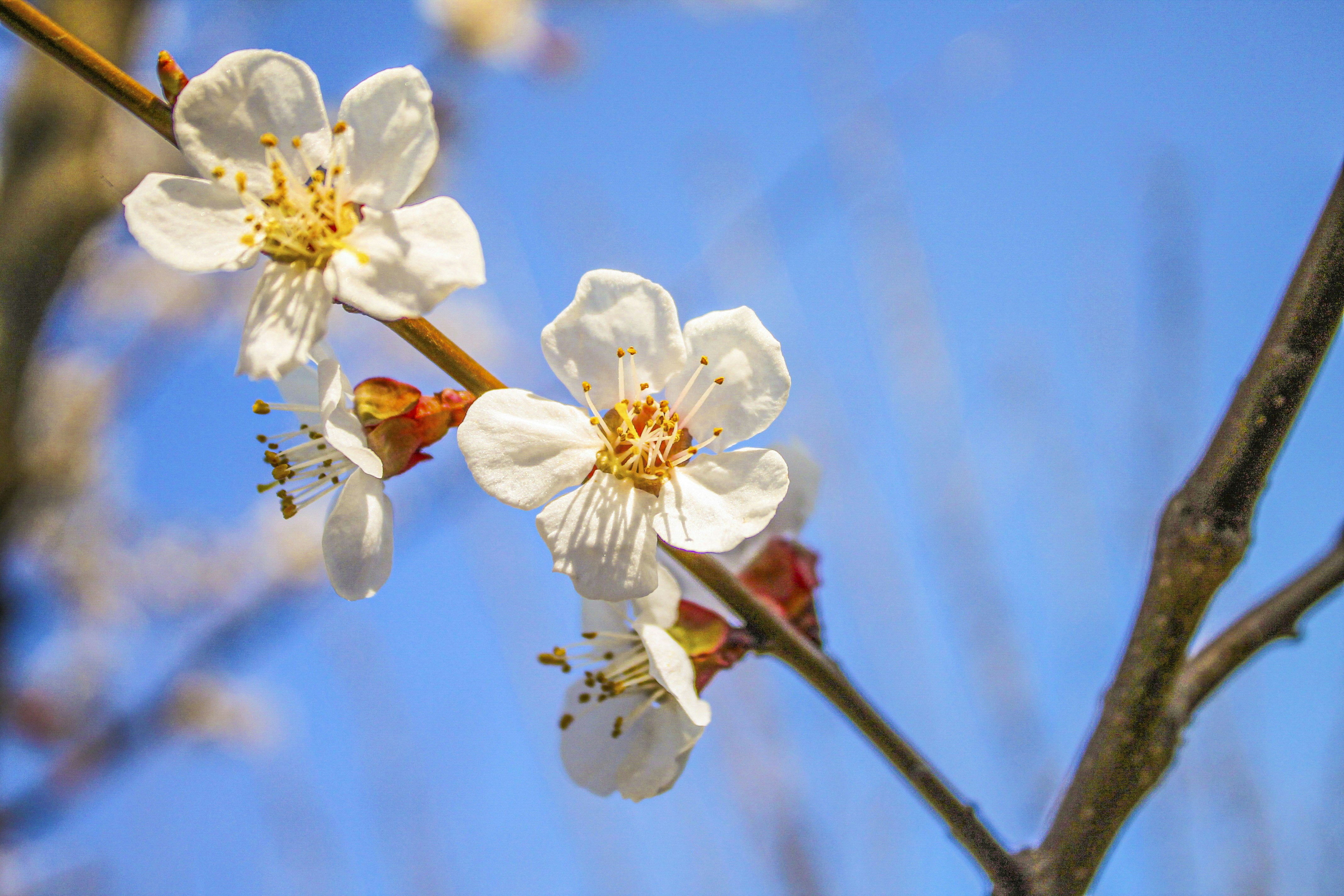 Photo by olgamusiichuck