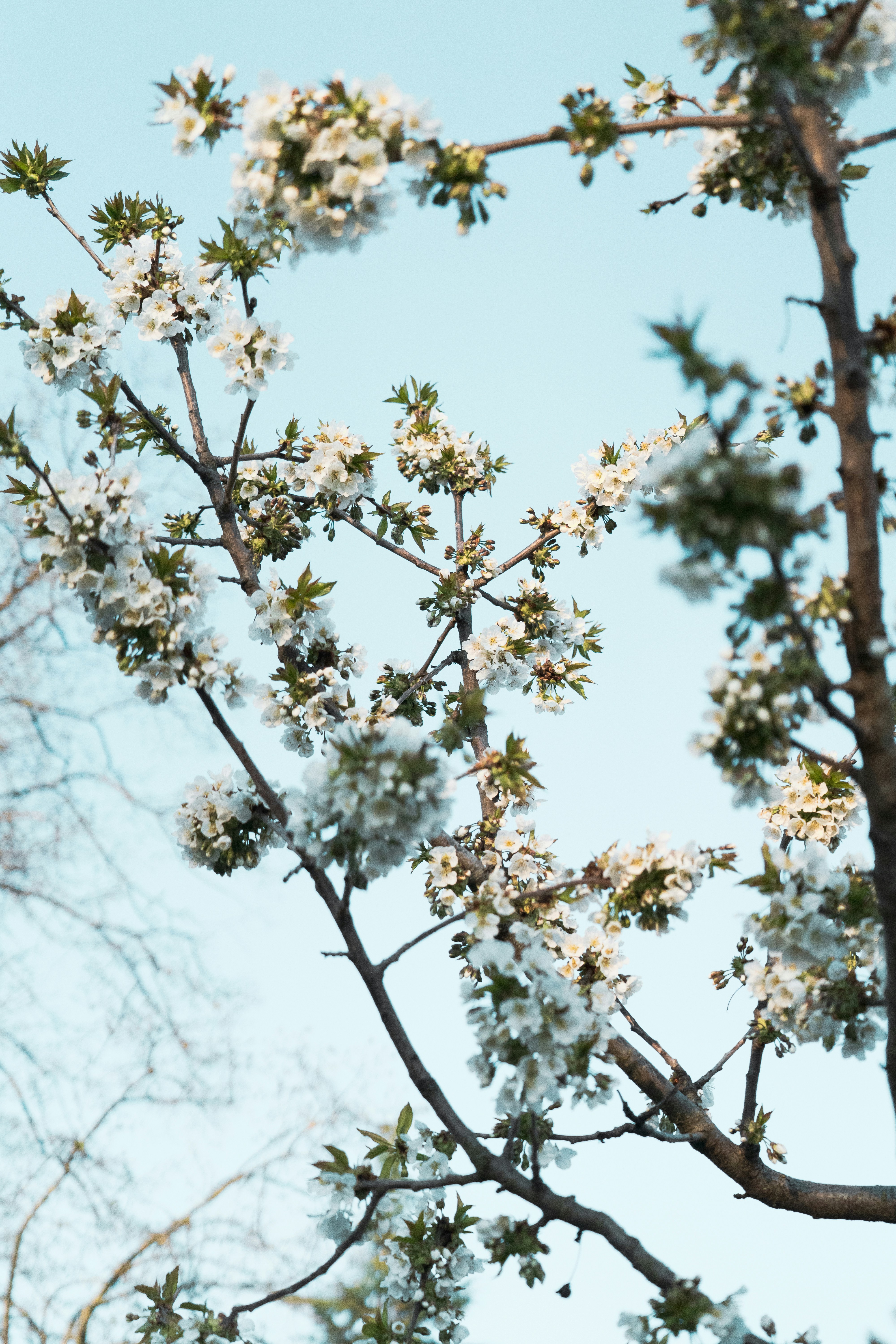 Photo by kilicemre7007