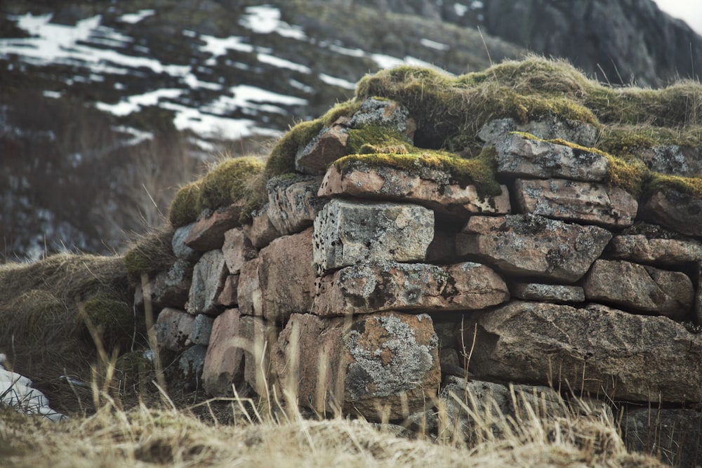 a stone wall with moss growing on top of it