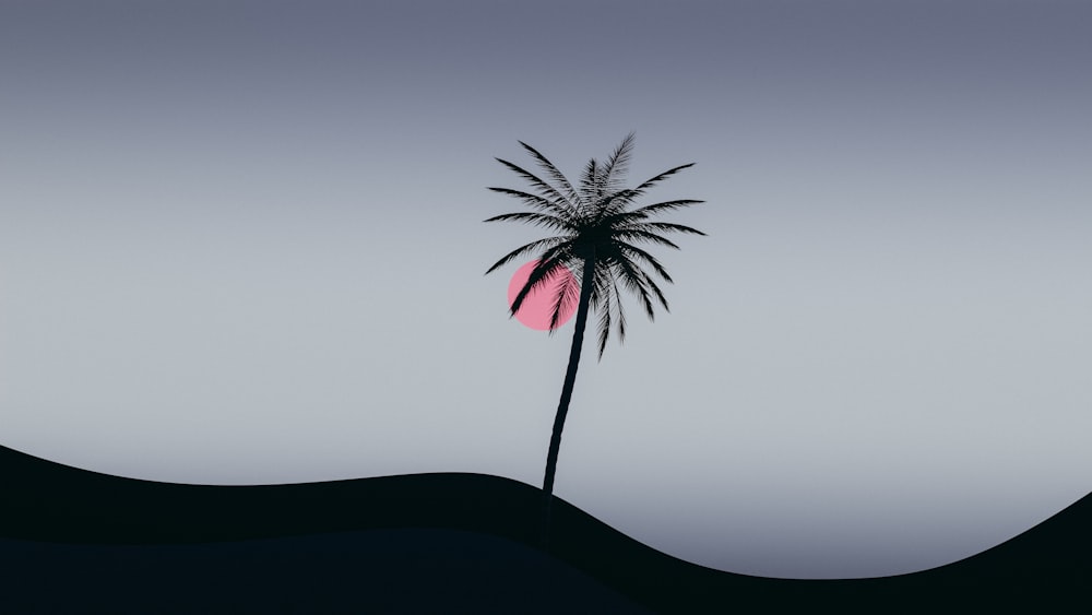 a palm tree in the middle of a desert