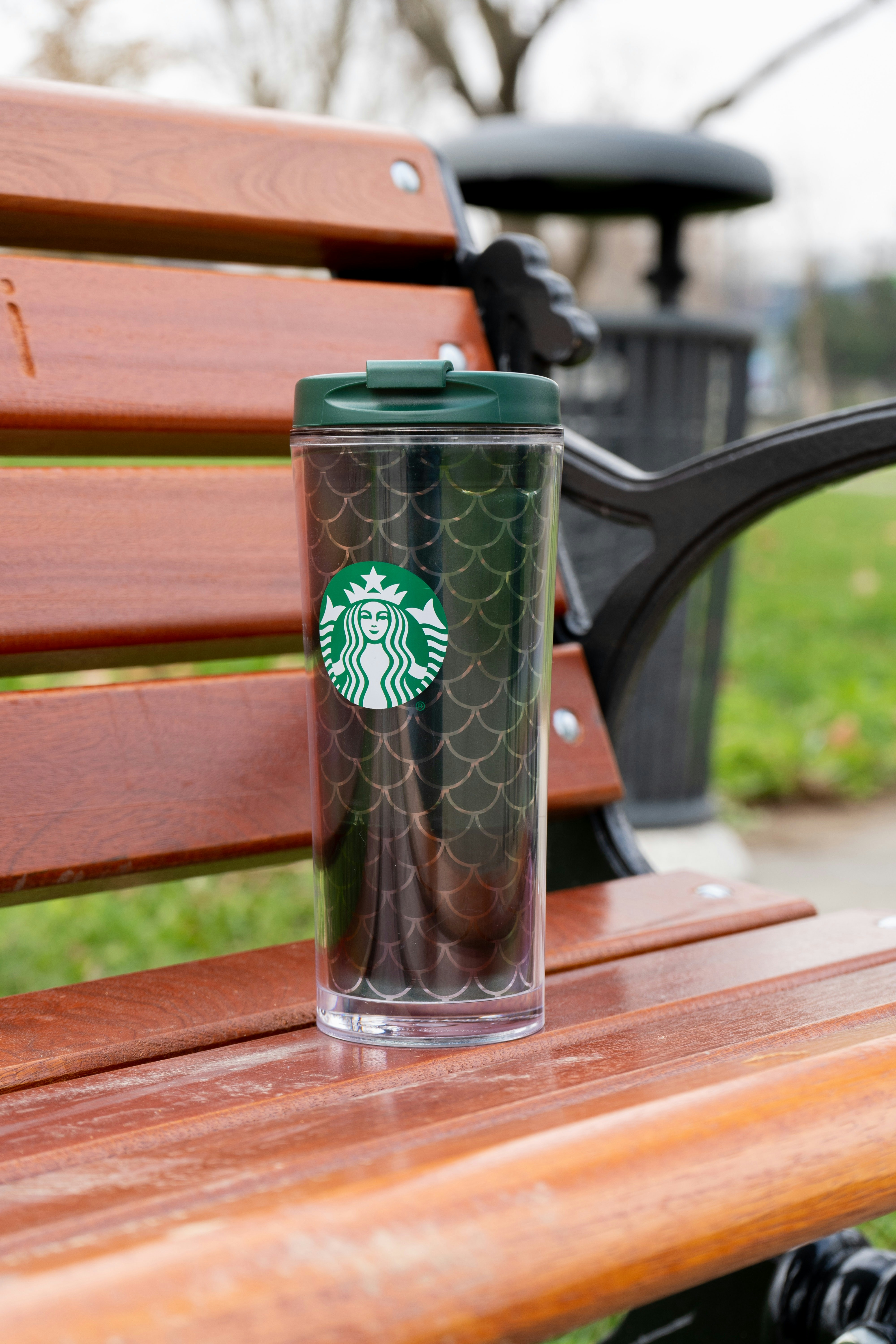 starbucks mug - QZoR4tcExbo