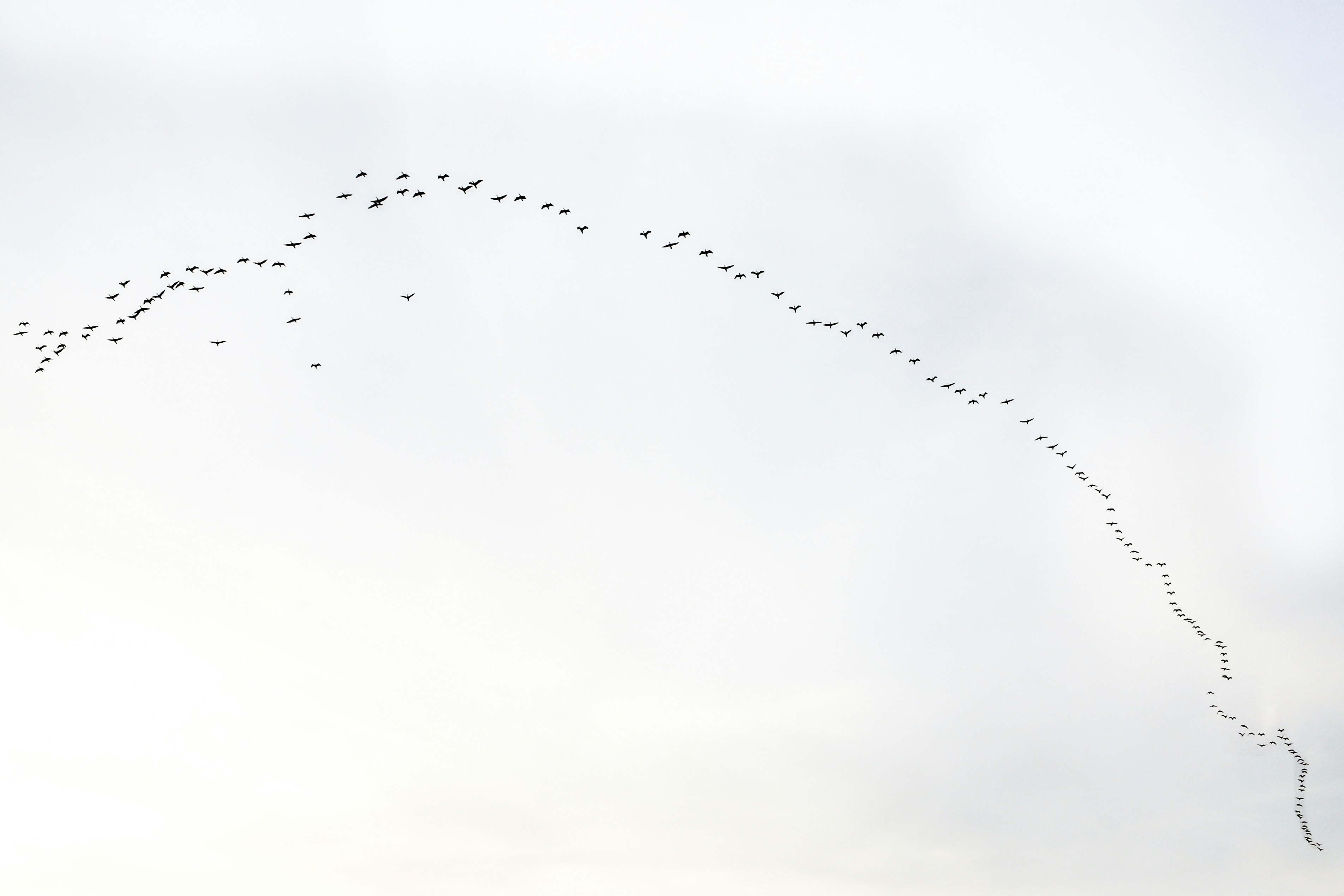 Photo by masoudshahrestani