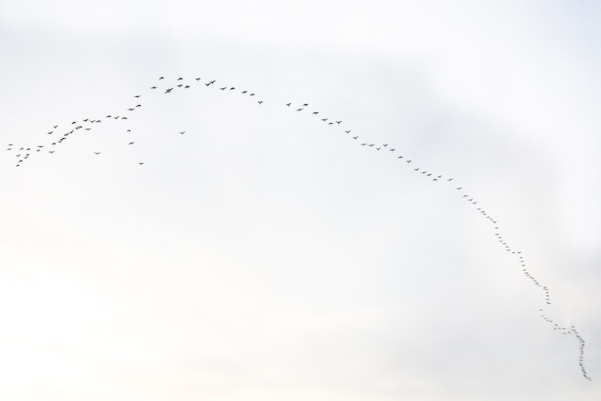 Información Migratoria para Latinoamericanos: Lo que el Consulado No te Va a Decir