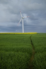 A tall wind turbine stands in a vast green field, under a sky filled with dark, dramatic clouds. A path winds through the lush grass, and a strip of yellow flowers separates the field from the horizon.