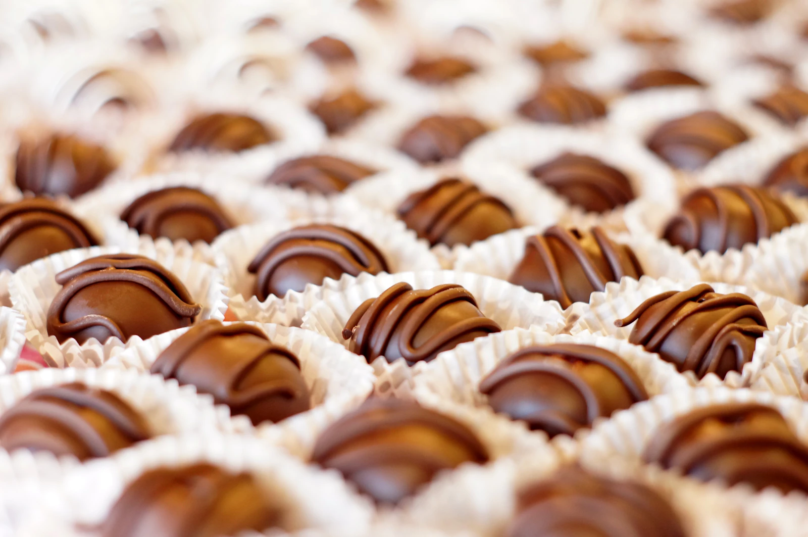 Handgjorda chokladpraliner på rad