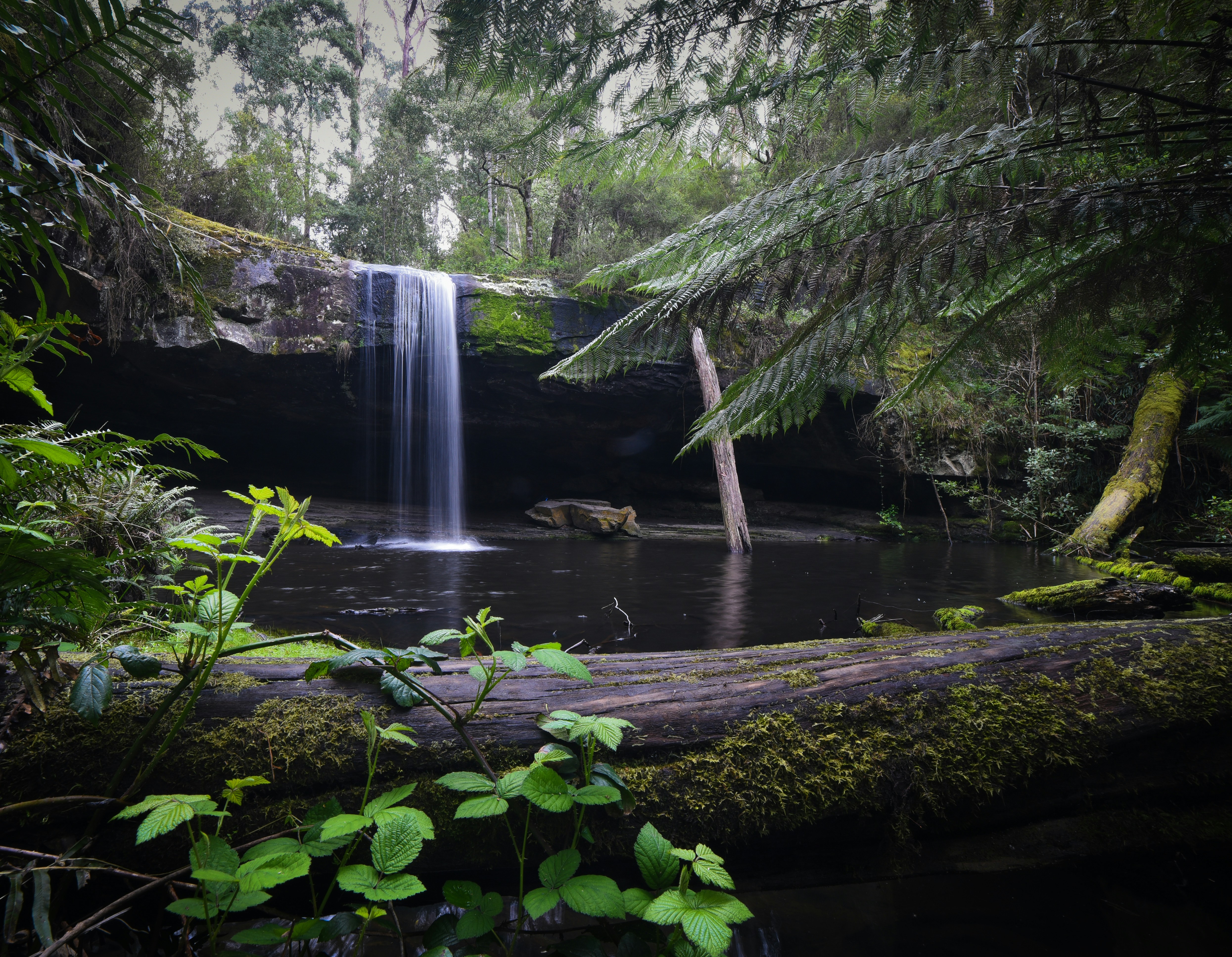 a waterfall in the middle of a forest