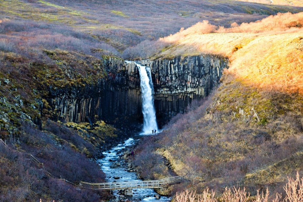 una cascada en medio de una zona cubierta de hierba