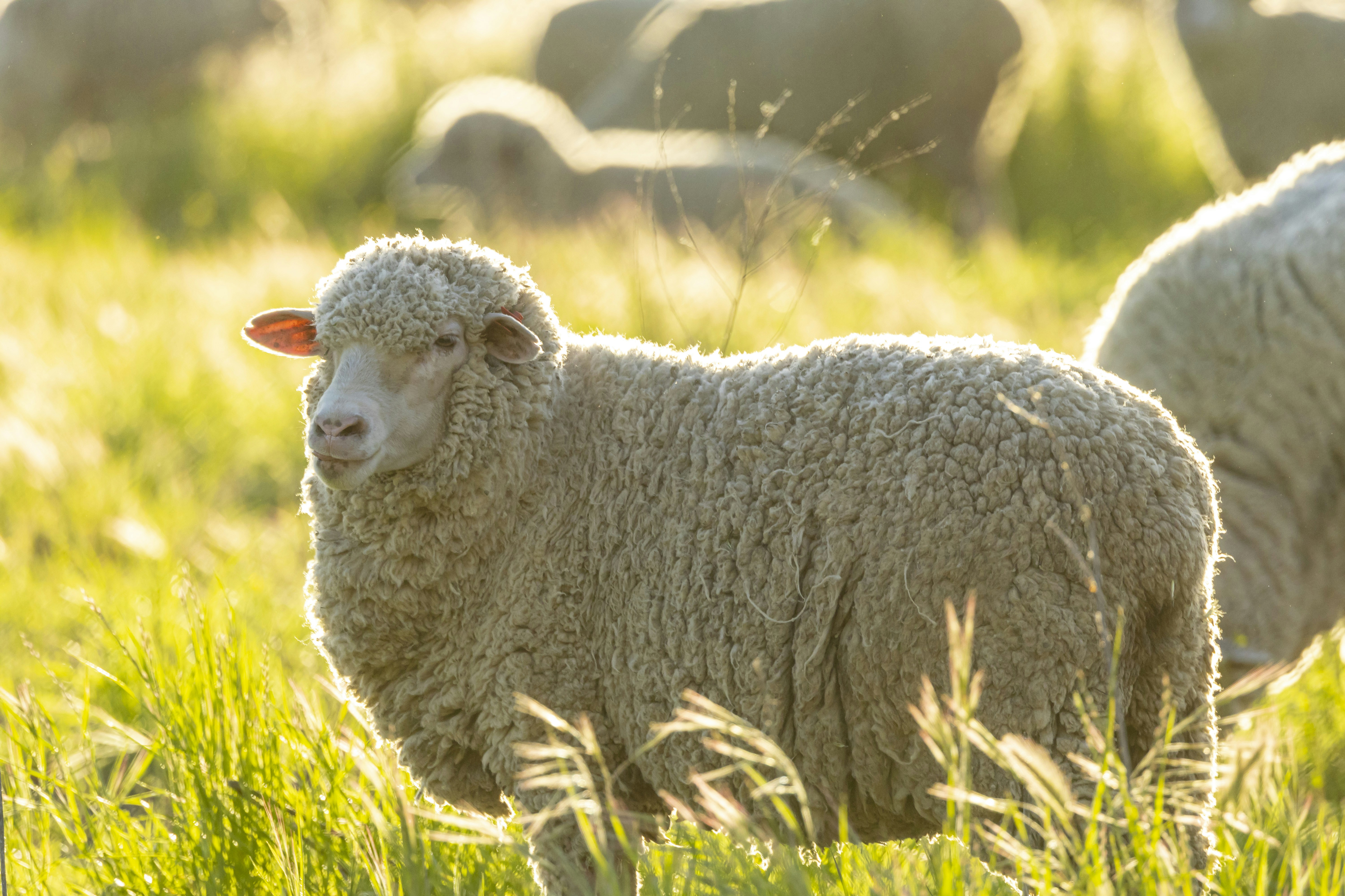 Photo by leo_visions_