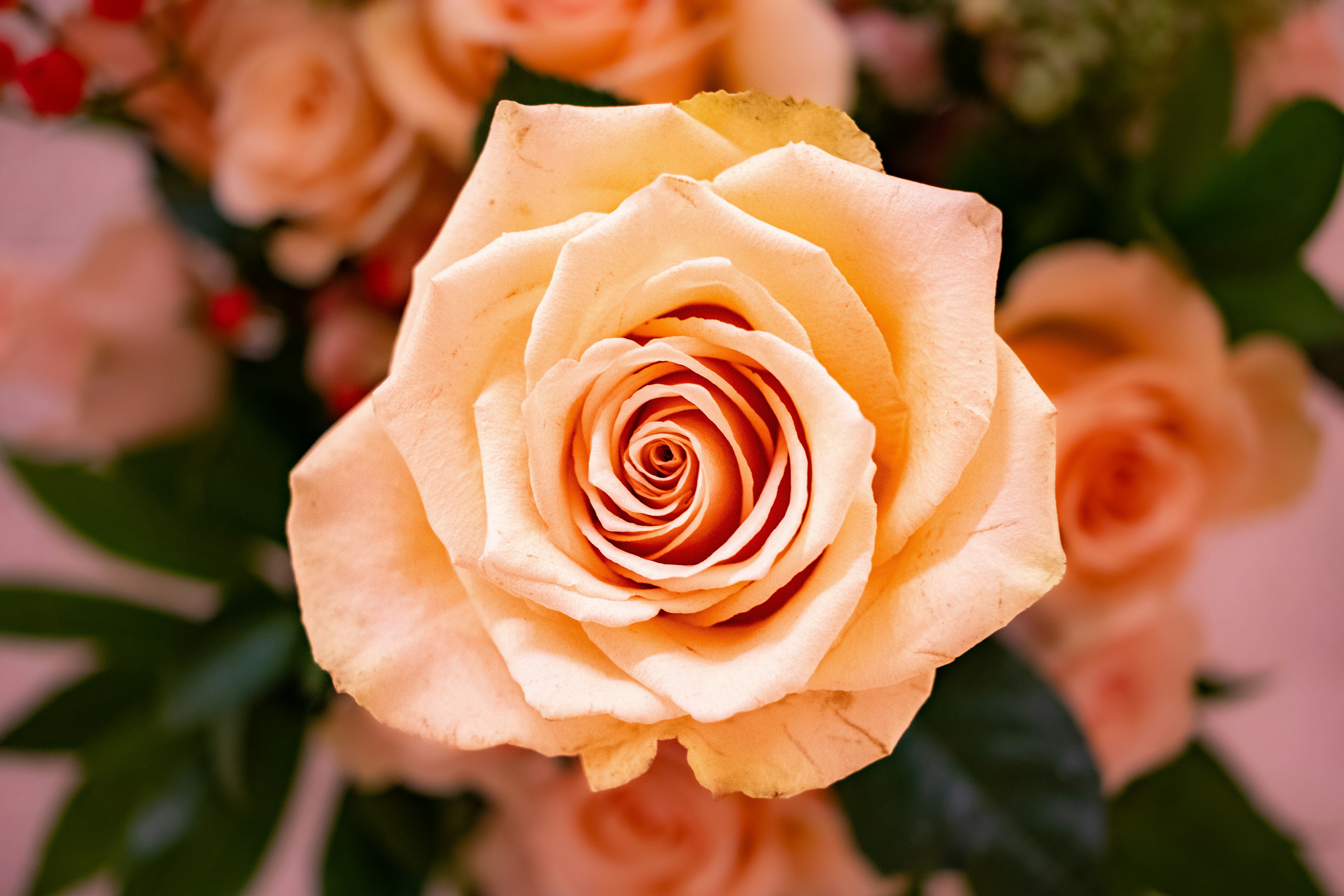 Photo by peterbbryan