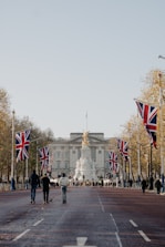 a group of people walking down a street with flags
