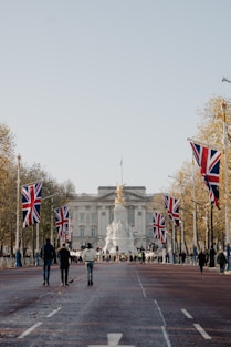 a group of people walking down a street with flags