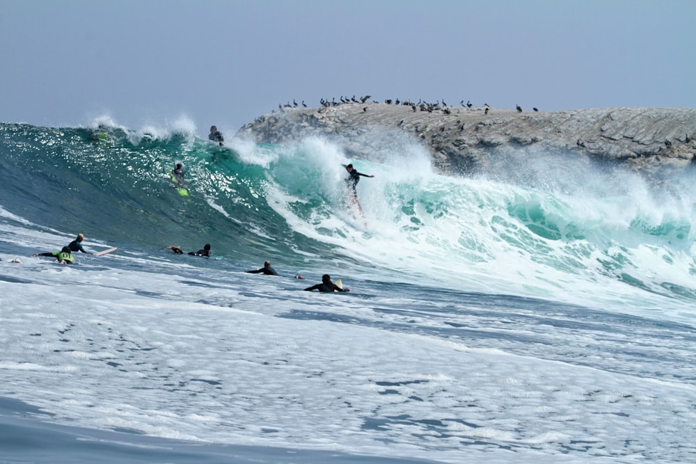 a group of people riding surfboards on top of a wave