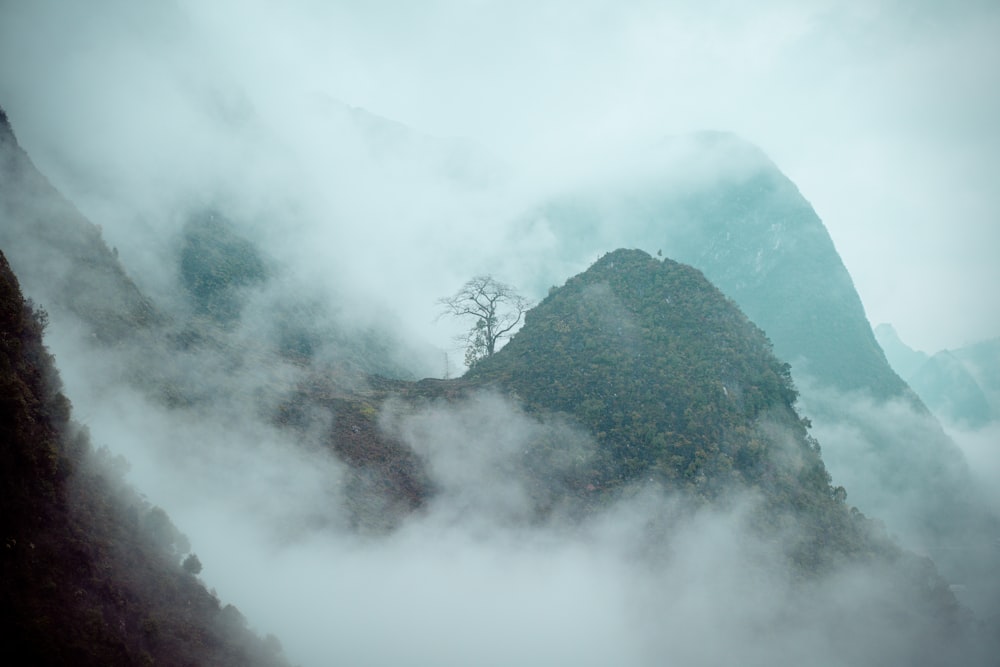 une montagne couverte de brouillard avec un arbre au sommet