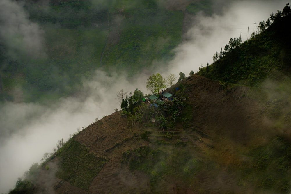 una colina cubierta de niebla con un árbol en la parte superior de ella