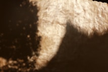 The image depicts an abstract scene of faint and blurry shadows cast on a textured surface that appears to be a wall. There are distinct areas of dark shadow and illuminated light contrasting against each other, creating a play of light and shadow.