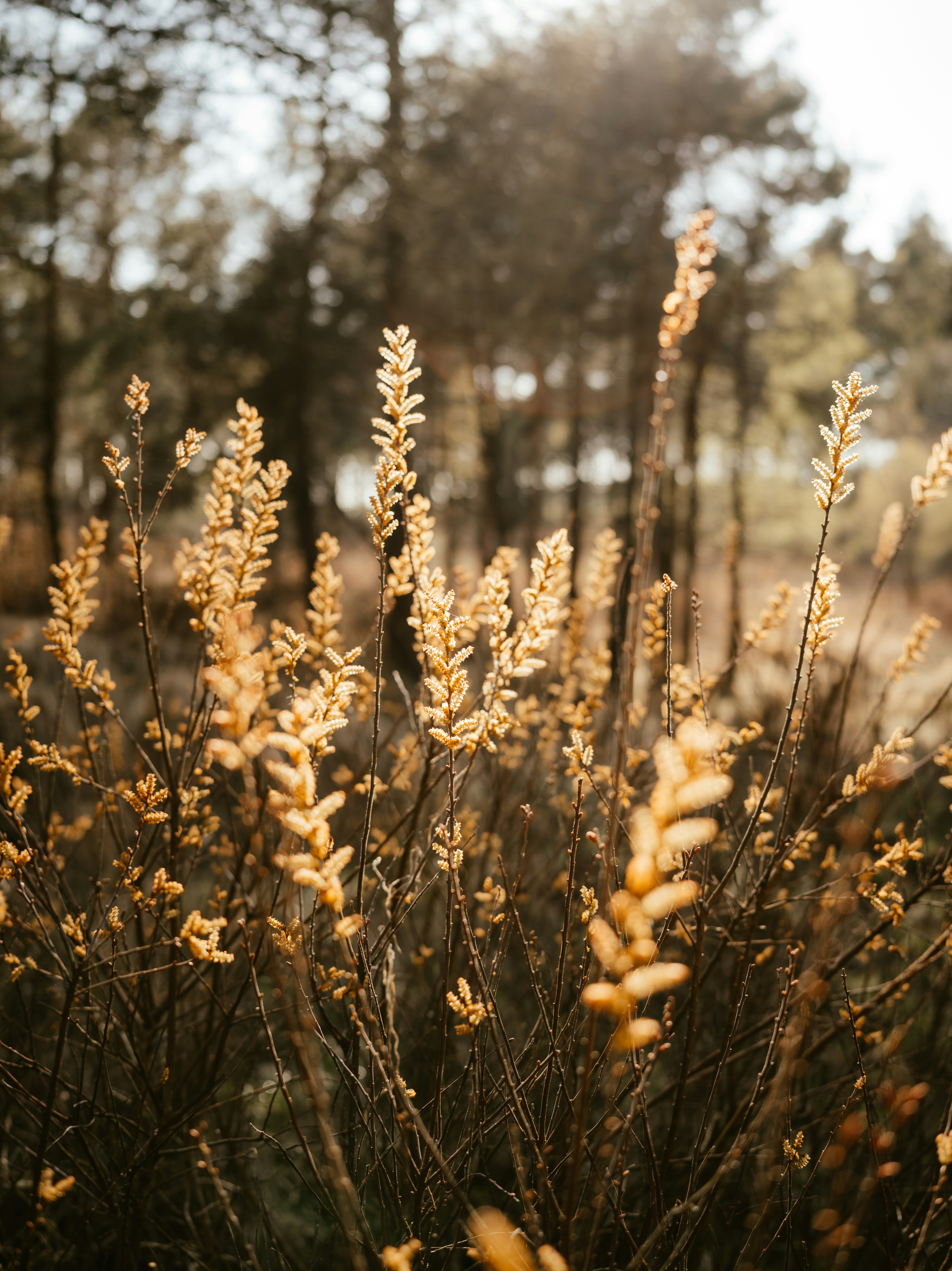 Photo by anniespratt