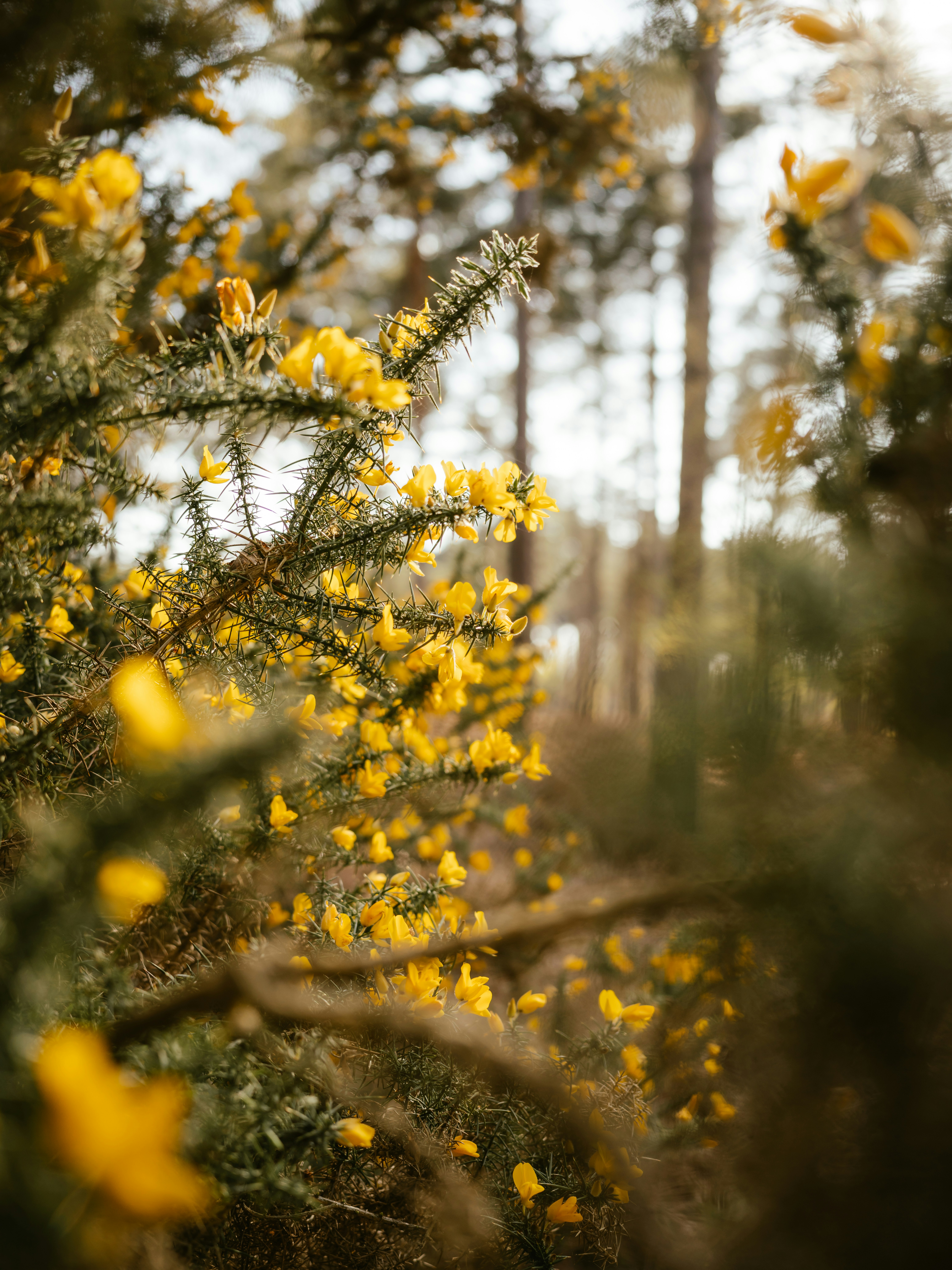 Photo by anniespratt