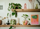 A variety of artificial green plants arranged artfully on a wooden shelf.