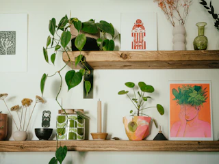 Elegant decorative items arranged on a wooden shelf with plants