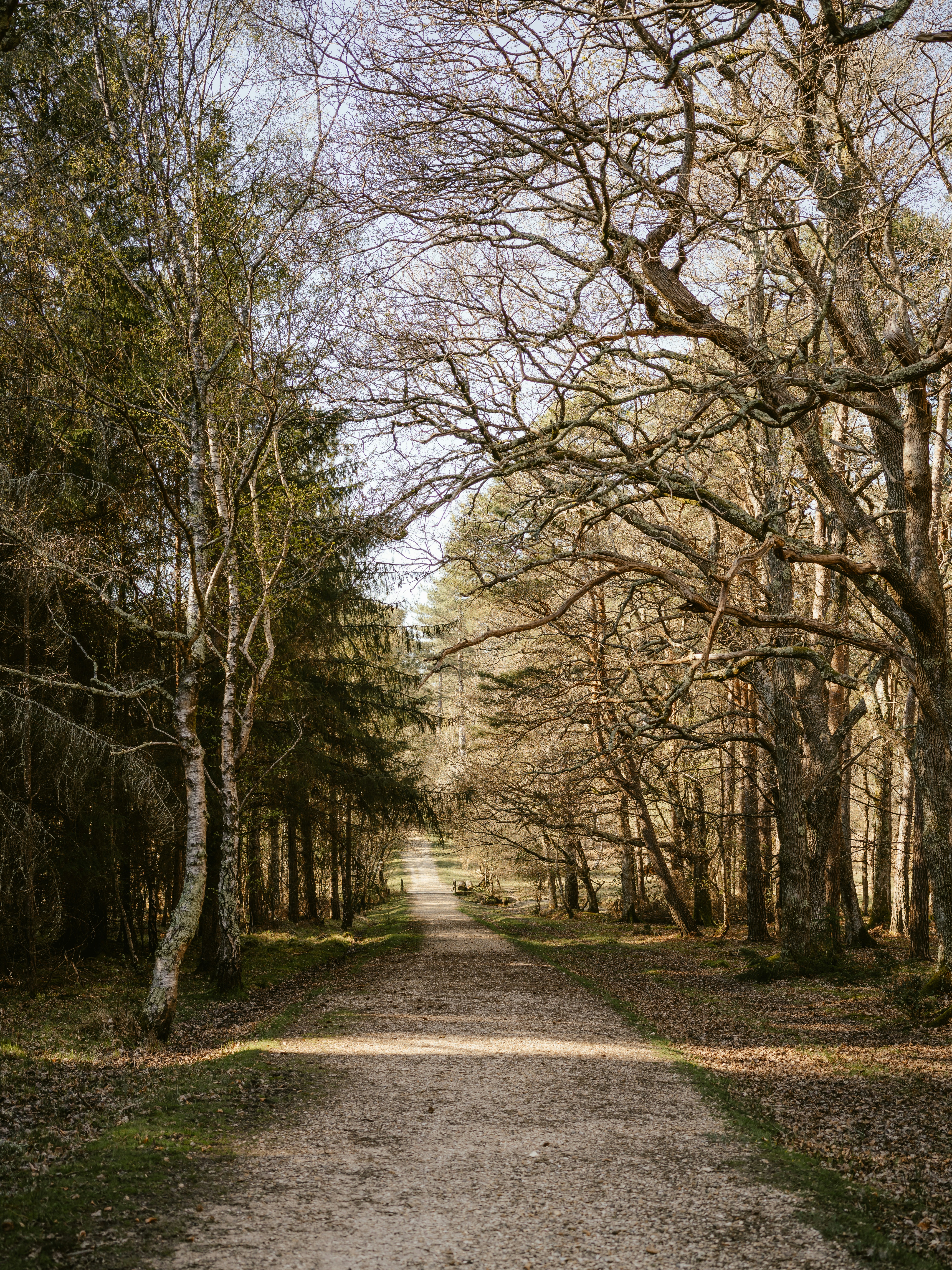 Photo by anniespratt