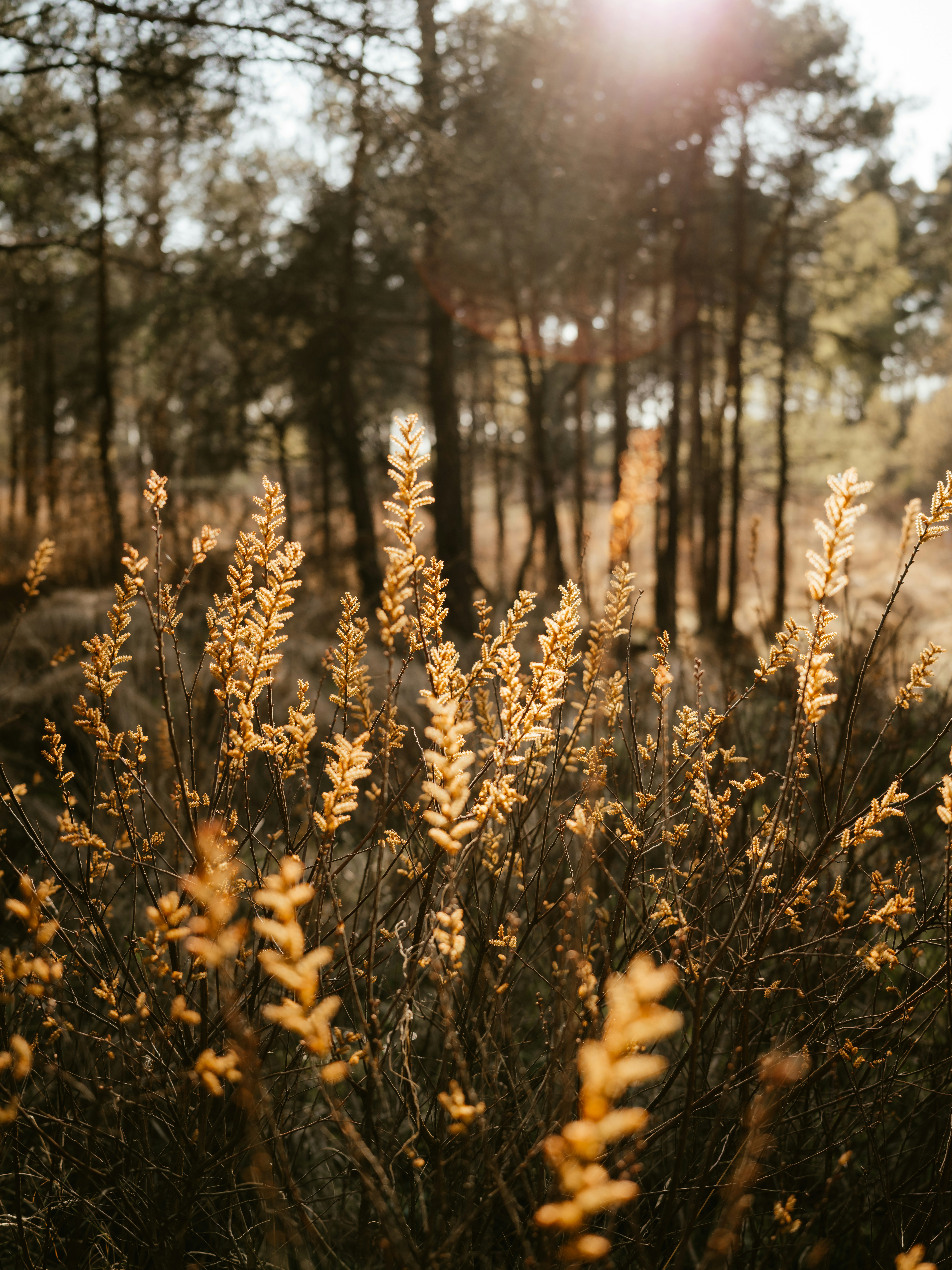 Photo by anniespratt