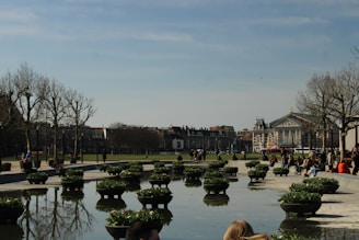 A landscaped urban area featuring a reflective water body lined with multiple large round planters containing green plants. Several people are sitting and walking around the area. Leafless trees are visible towards the background along with buildings and an overcast sky.