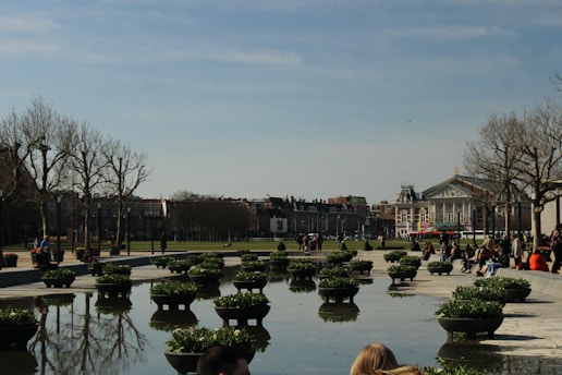 A landscaped urban area featuring a reflective water body lined with multiple large round planters containing green plants. Several people are sitting and walking around the area. Leafless trees are visible towards the background along with buildings and an overcast sky.