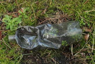 A crumpled plastic bottle lies on a patch of grass and moss, surrounded by some small plants and dried leaves.