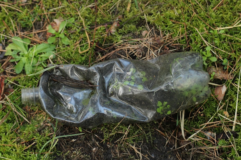 A crumpled plastic bottle lies on a patch of grass and moss, surrounded by some small plants and dried leaves.