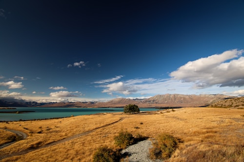 A vast landscape featuring golden grassy fields leading to a turquoise lake, with a backdrop of majestic mountains under a clear, deep blue sky with scattered clouds.