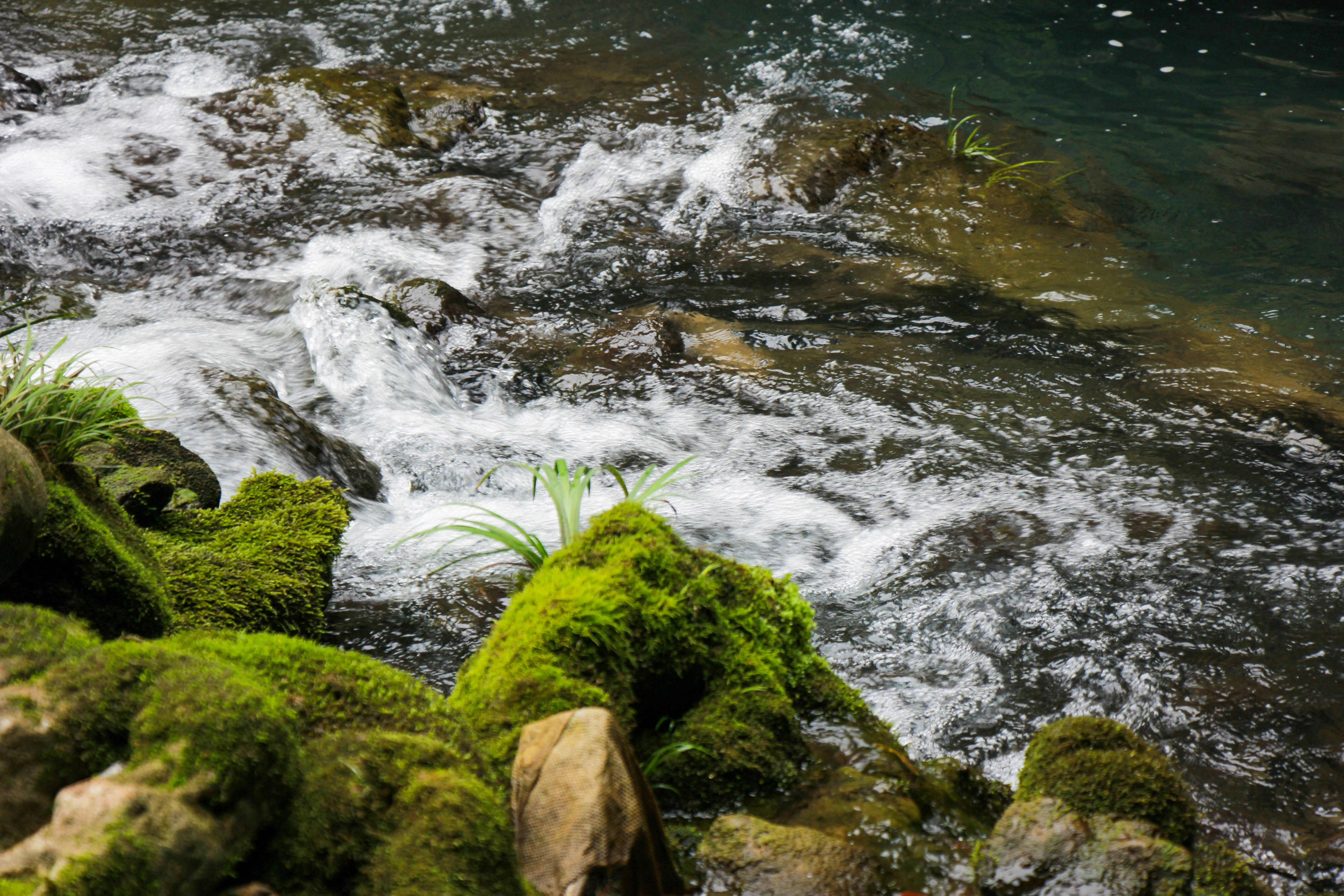 Photo by nefelibataniska