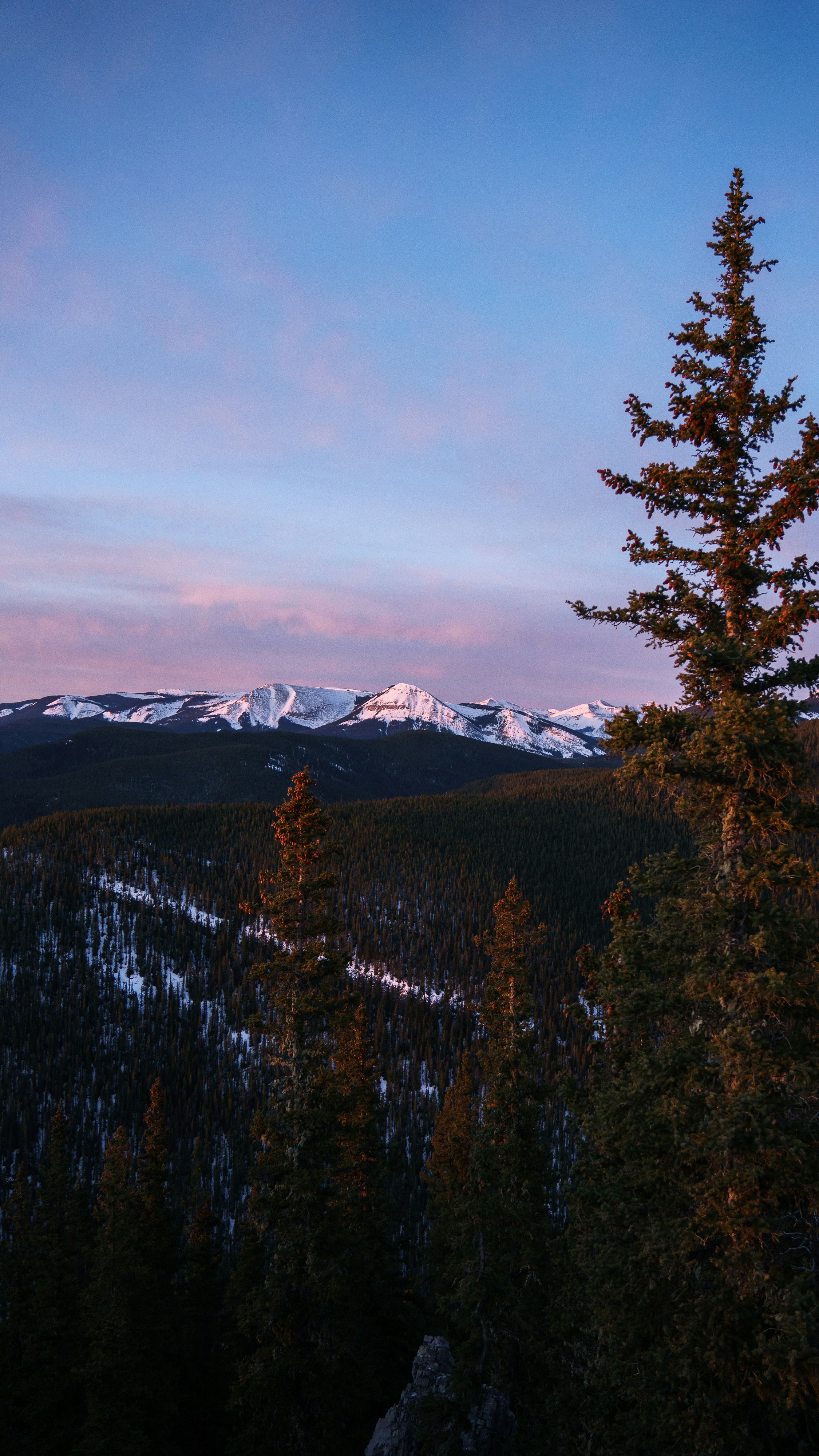 Photo by tfrankcreations