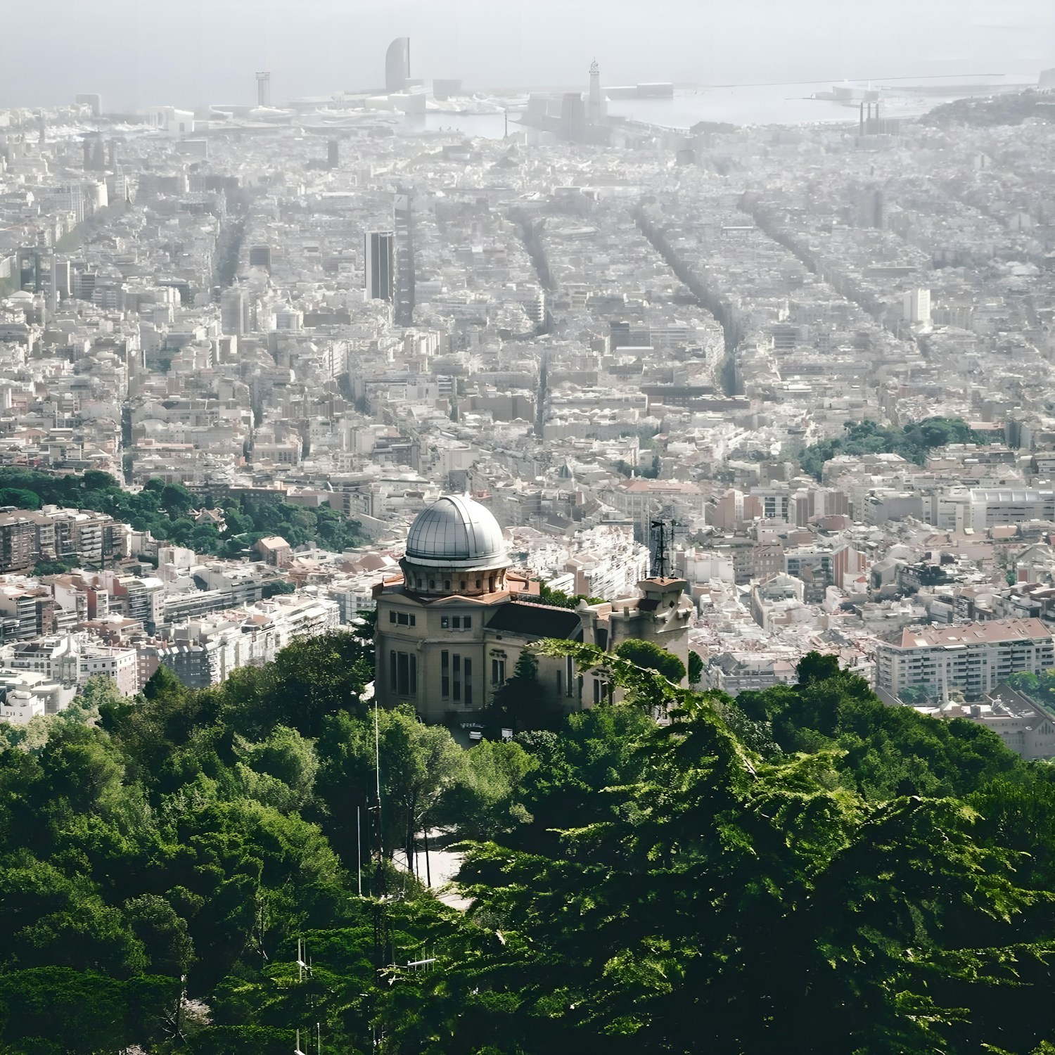 Barcelona seen from above in warm evening light