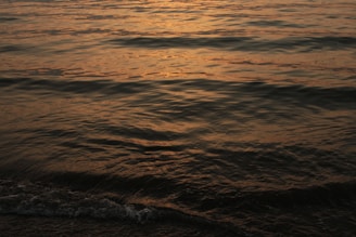 Film grain textured shot of a quiet water surface reflecting warm afternoon light.
